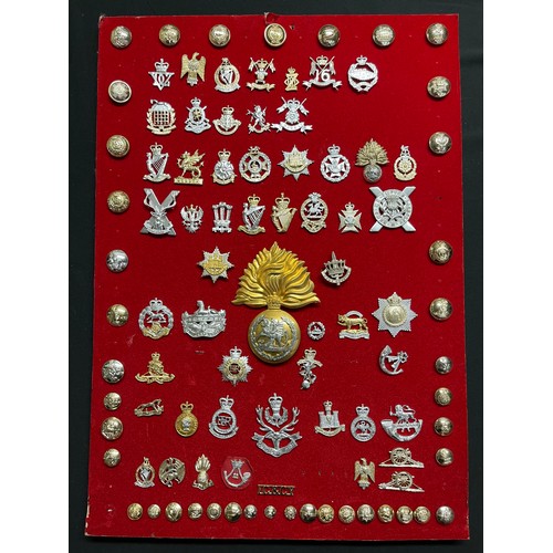 3254 - Collection of British Army Staybrite Cap badges, collar dogs, buttons and shoulder titles all mounte... 