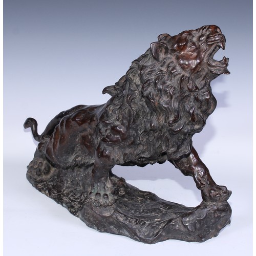 146 - Continental School, a brown patinated bronze, of a ferocious lion, 54cm wide