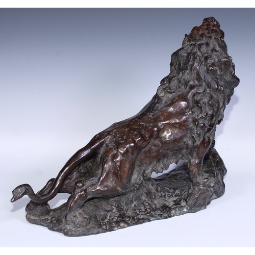 146 - Continental School, a brown patinated bronze, of a ferocious lion, 54cm wide