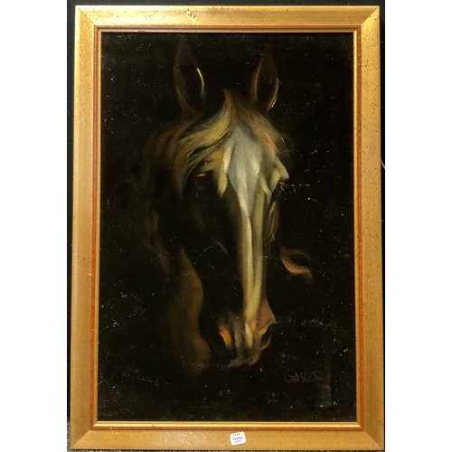 173 - L. Gasser, 'Head study of a Horse', signed, oil on fabric, 60cm x 50cm;  another similar, by the sam... 