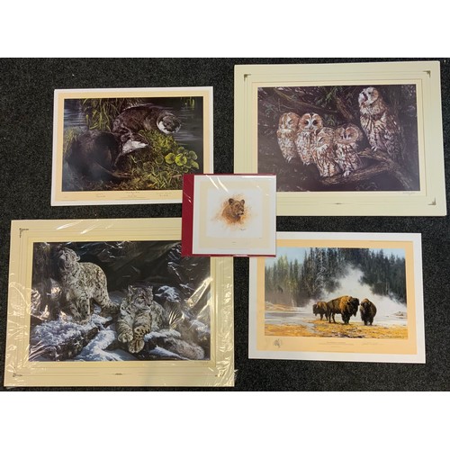 255 - Dorothea Hyde, by and after, Owls, signed, Giclee print, 47cm x 69cm;  Snow Leopard;  Bee the Otter;... 