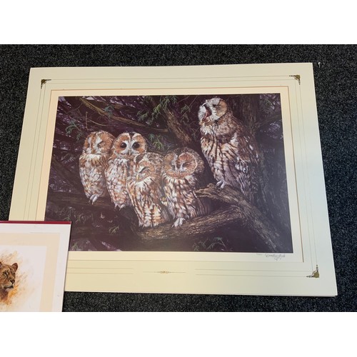 255 - Dorothea Hyde, by and after, Owls, signed, Giclee print, 47cm x 69cm;  Snow Leopard;  Bee the Otter;... 