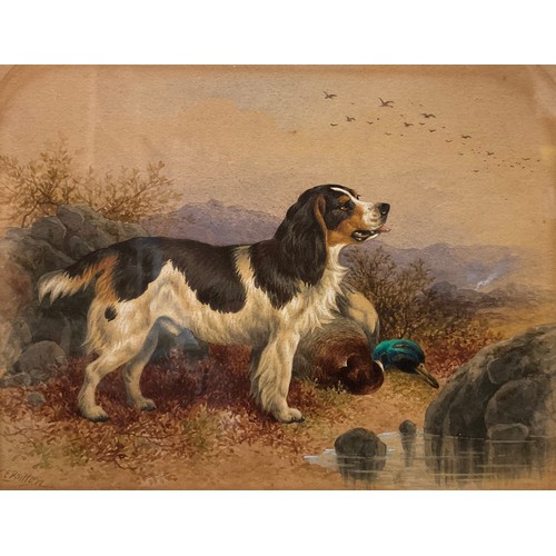 207 - Charles E Brittan  (1837-1888)
Spaniel and Game
signed, watercolour, 16cm x 21cm