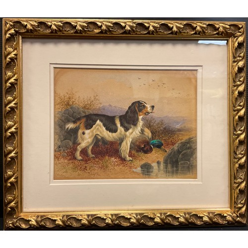 207 - Charles E Brittan  (1837-1888)
Spaniel and Game
signed, watercolour, 16cm x 21cm