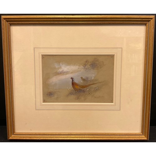 257 - James Stinton (1854 - 1956) (Royal Worcester Artist)
Pheasants
signed, watercolour, 13cm x 19cm