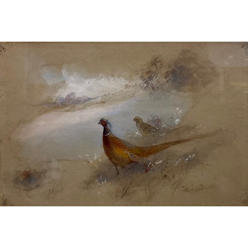 257 - James Stinton (1854 - 1956) (Royal Worcester Artist)
Pheasants
signed, watercolour, 13cm x 19cm