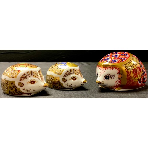 39 - A Royal Crown Derby paperweight, Orchard Hedgehog, Collector's Guild Exclusive, gold stopper, boxed;... 