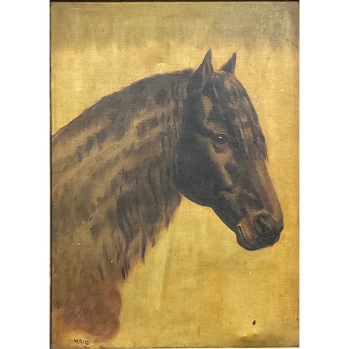 67 - English School (early 20th century), Horses Head, monogrammed W.H., dated 1901, oil on canvas, 37cm ... 