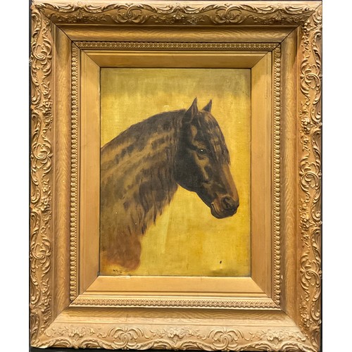 67 - English School (early 20th century), Horses Head, monogrammed W.H., dated 1901, oil on canvas, 37cm ... 