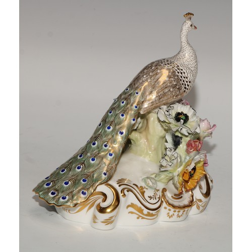 642 - A Royal Crown Derby model, of a peacock, 18cm high, green printed mark