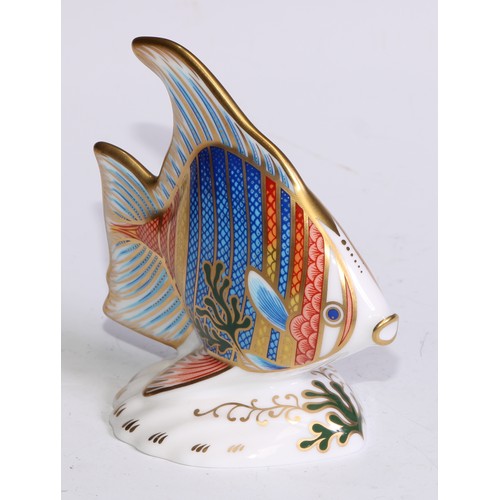 649 - A Royal Crown Derby paperweight, Guppy, limited edition 591/2,500, gold stopper; another, Pacific An... 