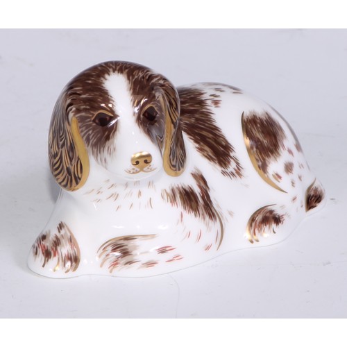 772 - Royal Crown Derby Collectors Guild Exclusive paperweights, Sugar, Molly, Puppy, Scruff and Spice, al... 