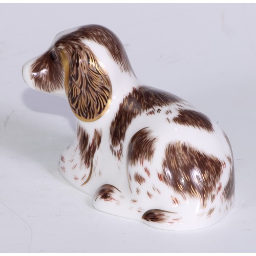 772 - Royal Crown Derby Collectors Guild Exclusive paperweights, Sugar, Molly, Puppy, Scruff and Spice, al... 