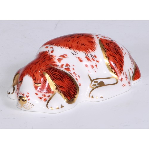 772 - Royal Crown Derby Collectors Guild Exclusive paperweights, Sugar, Molly, Puppy, Scruff and Spice, al... 