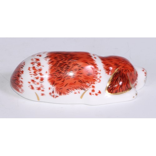 772 - Royal Crown Derby Collectors Guild Exclusive paperweights, Sugar, Molly, Puppy, Scruff and Spice, al... 