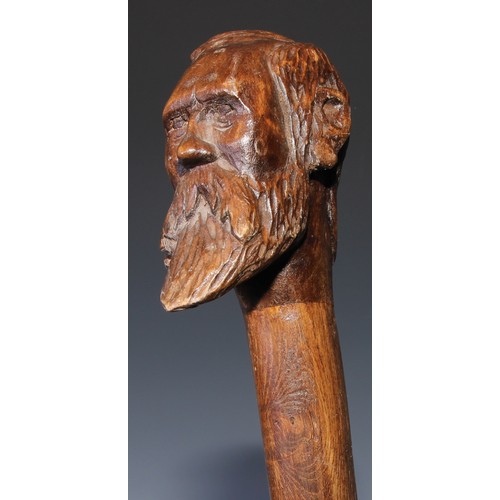 305 - A novelty walking stick, the softwood handle carved as a dogs head and neck, 91cm long; another, the... 