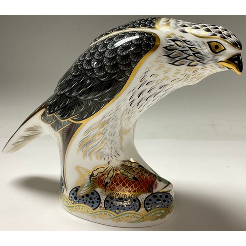 311 - A Royal Crown Derby paperweight, Osprey, gold stopper, 15.5cm, boxed