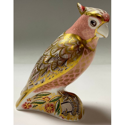 314 - A Royal Crown Derby paperweight, Cockatoo, special commission, limited edition 1,118/2,500, gold sto... 