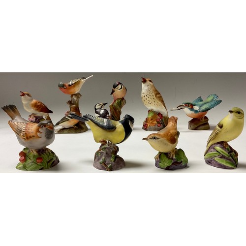 392 - A collection of Royal Worcester ornithological models, Thrush, Kingfisher, Wood Warbler, Chaffinch, ... 