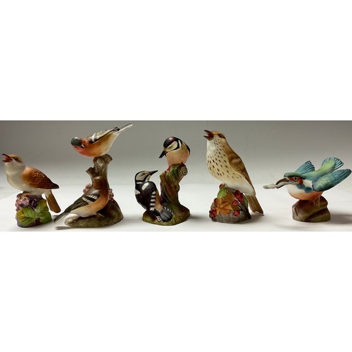 392 - A collection of Royal Worcester ornithological models, Thrush, Kingfisher, Wood Warbler, Chaffinch, ... 