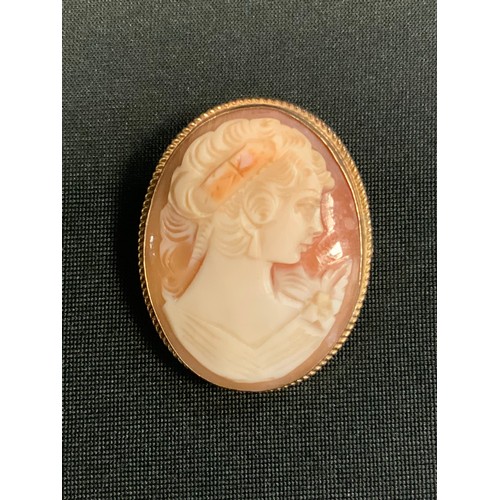 355 - An oval cameo portrait brooch, 9ct gold frame, Birmingham 1978, 9g gross