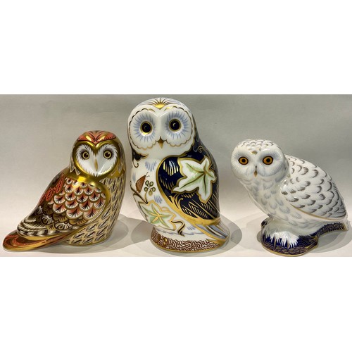 39 - A Royal Crown Derby paperweight, Twilight Owl, gold stopper, printed mark; two others, Snowy Owl and... 