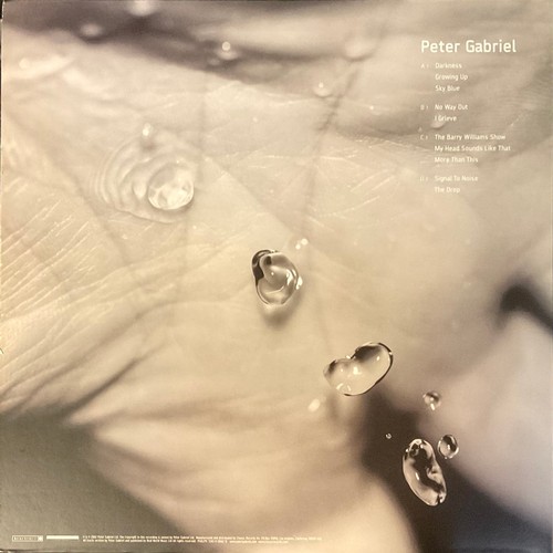 458 - Vinyl Records – LP - Peter Gabriel – Up - 7243 813062 15 (1)