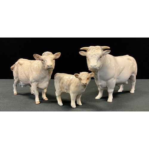 6 - A Beswick Charolais bull, cow and calf, designed by  Alan Maslankowski, gloss, model No. 2463A,  307... 