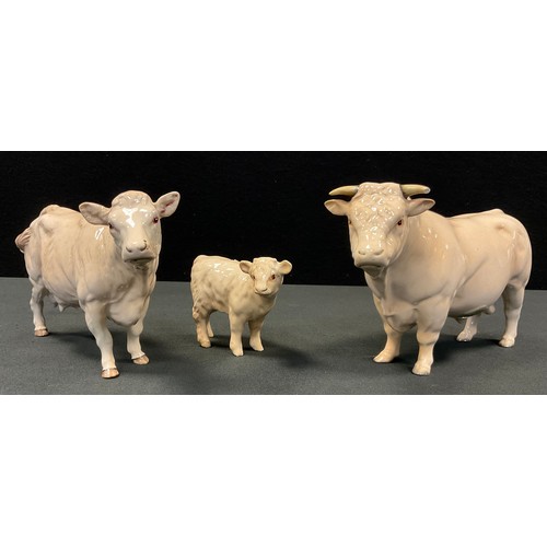 7 - A Beswick Charolais bull, cow and calf, designed by  Alan Maslankowski, gloss, model No. 2463A,  307... 