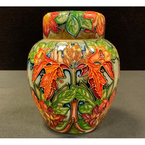 44 - A Moorcroft Flame of the Forest  ginger jar and cover,  designed by Philip Gibson, tube lined and co... 