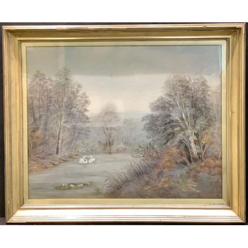 607 - J Hodgkinson (20th century)
Swans on a Lake
watercolour, 48cm x 62cm