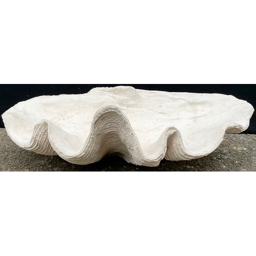 3076 - A plaster of Paris Clam shell, 65cm wide


**Please note that some of the lots in this auction are h... 