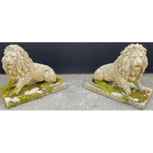 3134 - A pair of composite garden lions, seated to the left and right, rectangular bases length 56cm width ... 