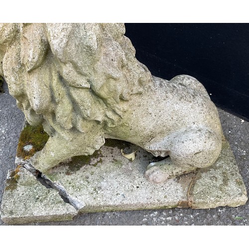 3134 - A pair of composite garden lions, seated to the left and right, rectangular bases length 56cm width ... 