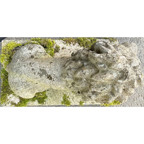 3134 - A pair of composite garden lions, seated to the left and right, rectangular bases length 56cm width ... 