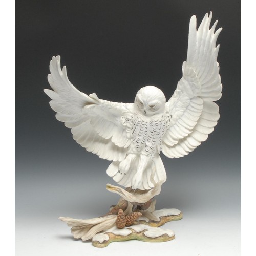 473 - A Boehm Porcelain ornithological model, Snowy Owl,  Nyctea Scandiaca, 10177,  48cm high, 34cm wide, ... 