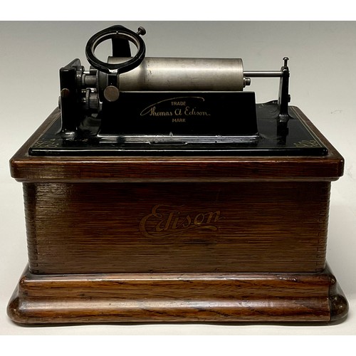 1321 - An early 20th century Edison Fireside phonograph, combination type, serial no.90199, oak case, 29cm ... 