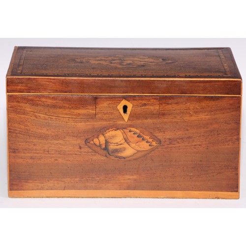 1780 - A George III mahogany and marquetry rectangular tea caddy, inlaid with fruiting oak and shell patera... 