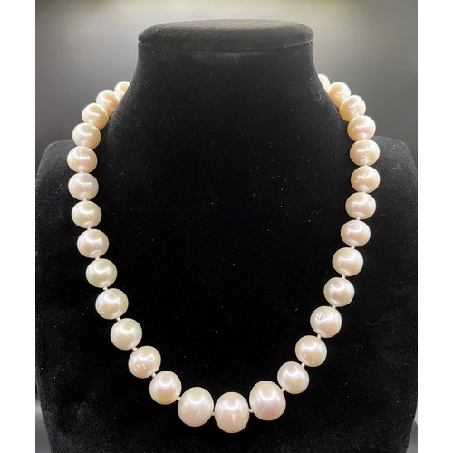 449 - A single strand pearl necklace of 35 large slightly graduated pearls, from 11mm to 15mm in diameter,... 