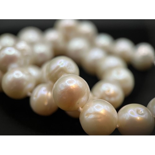 449 - A single strand pearl necklace of 35 large slightly graduated pearls, from 11mm to 15mm in diameter,... 