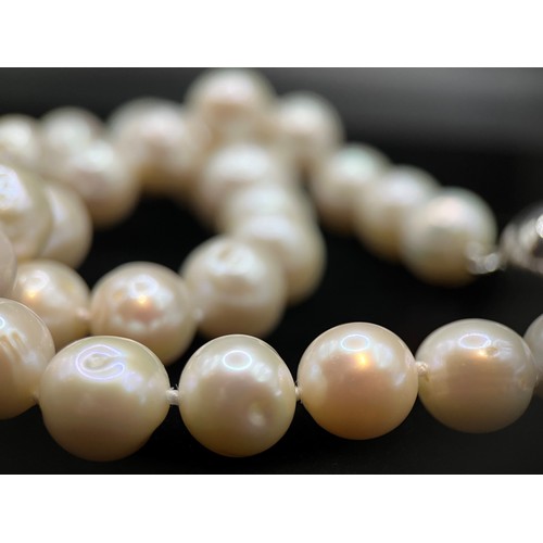 449 - A single strand pearl necklace of 35 large slightly graduated pearls, from 11mm to 15mm in diameter,... 