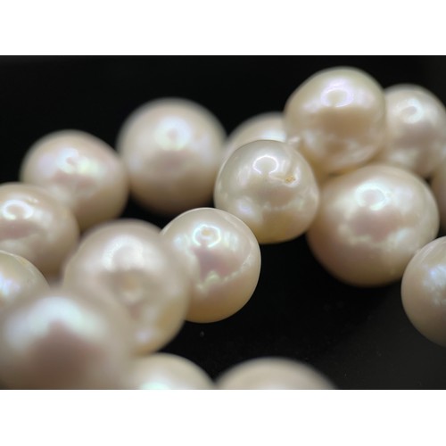 449 - A single strand pearl necklace of 35 large slightly graduated pearls, from 11mm to 15mm in diameter,... 