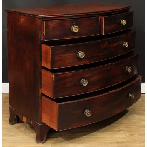 1760 - A Regency mahogany bow front chest, slightly oversailing top with channelled edge above two short an... 