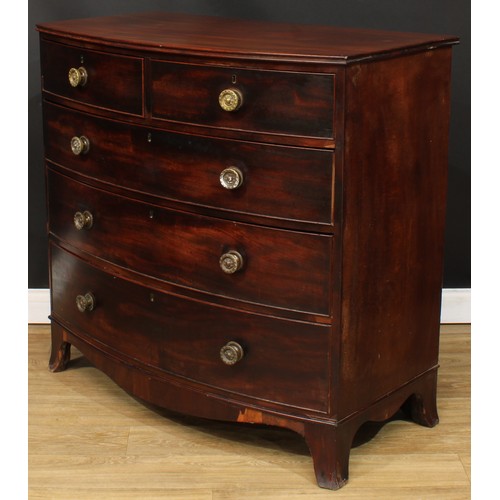 1760 - A Regency mahogany bow front chest, slightly oversailing top with channelled edge above two short an... 