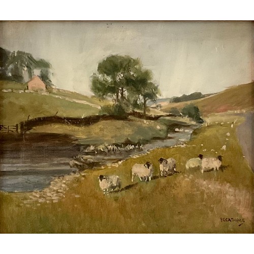 1219 - P G Cathrae (20th century)
Sheep Beside a Brook
signed, oil on board, 29.5cm x 25cm