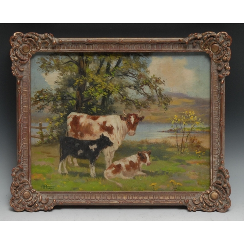 1135 - Andrew Allan (Scottish 1863 - 1942)
Cow and Calves in a Meadow
signed, oil on board, 26.5cm x 34.5cm