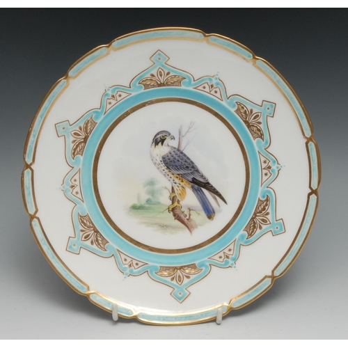 687 - A Coalport shaped circular plate, painted by John Randell, from the Birds of Prey service, with Hawk... 