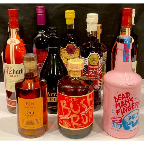 202 - Wines aand Spirits - gin, spiced rum, gin liqueur, raspberry rum cream liqueur, mulled wine, etc (12... 