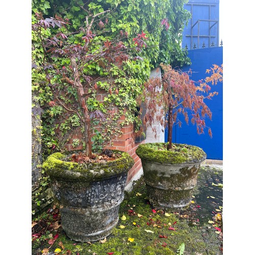 3161 - A pair of large garden planters, bucket form with central girdle, applied with fruiting vines, 64cm ... 