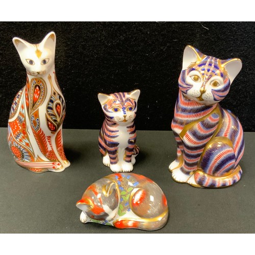 166A - A Royal Crown Derby Paperweight Siamese Cat;  others Catnip Kitten;  Imari Cat;   Imari Kitten, all ... 